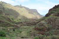 Blick von Afur – Teneriffa