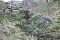 Wanderung von Afur nach Taganana – Teneriffa