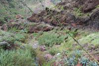 Wanderung von Afur nach Taganana – Teneriffa