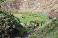 Wanderung von Afur nach Taganana – Teneriffa