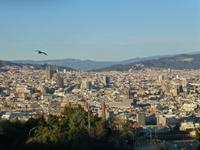 Ausblick auf Barcelona vom Montjuic