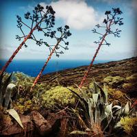 Wanderung nach Pozo de las Calcosas
