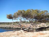 Start der Wanderung am Wachturm in Cala Pi