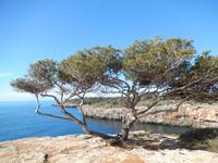 Start der Wanderung am Wachturm in Cala Pi