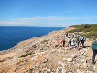 Wanderung von Cala Pi zum Cap Blanc