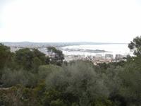 Ausblick vom Castell de Bellver