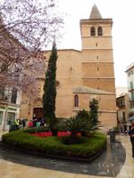 Wanderung durch Palma