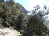 Aufstieg zum Castell d'Alaro