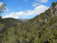 Aufstieg zum Castell d'Alaro