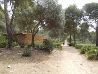 Wanderung zur Cala Agulla