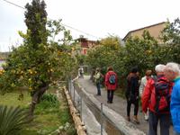 Nebengassen in Soller