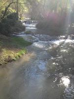 Monasterio de Piedra