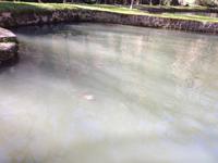 Monasterio de Piedra