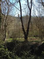 Monasterio de Piedra