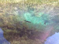 Monasterio de Piedra