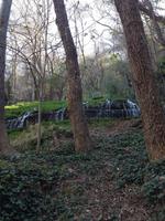 Monasterio de Piedra