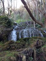 Monasterio de Piedra