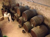 Monasterio de Piedra