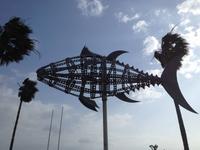 Conil de la Frontera