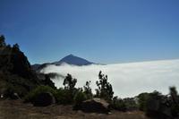 Wanderreise La Palma & Teneriffa, April 2015v