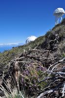 Roque de los Muchachos, La Palma