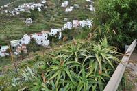 Taganana, Anagebirge