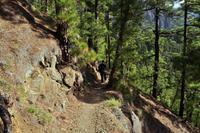 Wanderung in die Caldera de Taburiente