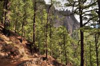 Caldera de Taburiente, La Palma