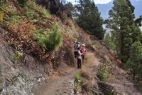 Wanderung in die Caldera de Taburiente