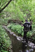 Wanderung in die Caldera de Taburiente