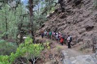 Wanderung in die Caldera de Taburiente