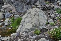 Kissenlava (engl. Pillow-Lava) entsand unterseeisch und wurde später tektonisch gehoben