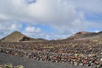 Wein am San Antonio, La Palma