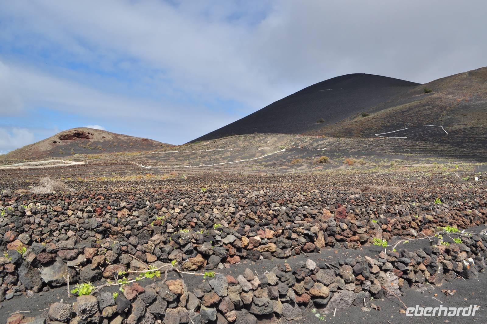 Wein am San Antonio, La Palma