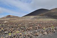 Wein am San Antonio, La Palma