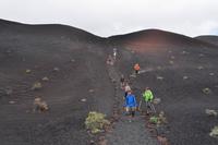 Aschefelder am Teneguia