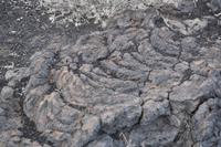 Pahoehoe Lava, auch Strick- oder Seillava genannt