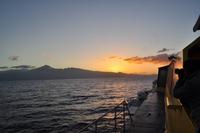 Mit der Reederei Fred Olsen nach Teneriffa