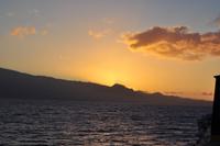 Mit der Reederei Fred Olsen nach Teneriffa