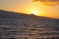 Mit der Reederei Fred Olsen nach Teneriffa