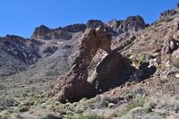 Zapato de la Reina - Schuh der Königin