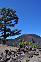 Wanderung am Chinyero