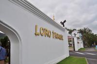 Loro Parque, Puerto de la Cruz, Teneriffa