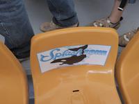 Loro Parque, Puerto de la Cruz, Teneriffa