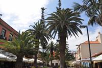 Puerto de la Cruz, Teneriffa