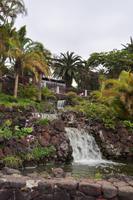 Puerto de la Cruz, Teneriffa