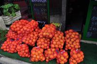 Orangen in Säcken