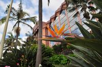 Hotel Puerto Palace, Puerto de la Cruz, Teneriffa