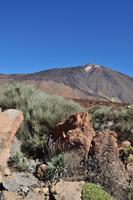 Nationalpark Las Cañadas del Teide