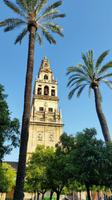 Cordoba - 10 Tage Radreise Andalusien entlang der Via Verde - Natur und Kultur in Spanien